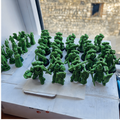 Combat Patrol - Dark Angels